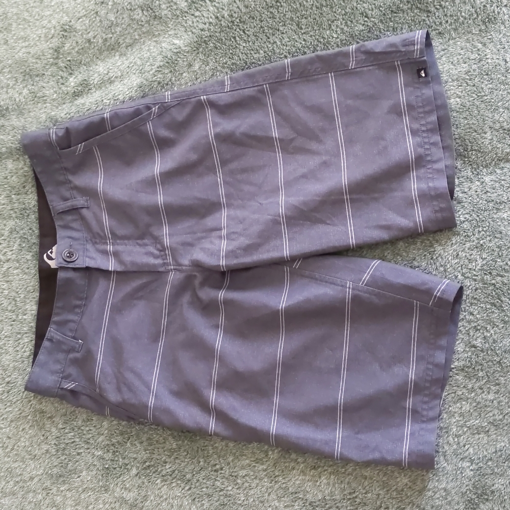 Men's Quicksilver Hybrid Shorts